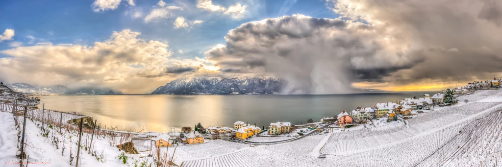 Natural Show - Panoramic